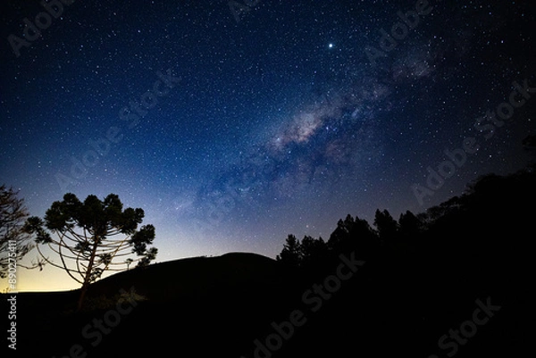 Obraz View of the center of the Milky Way with trees, araucaria and mountains in silhouette