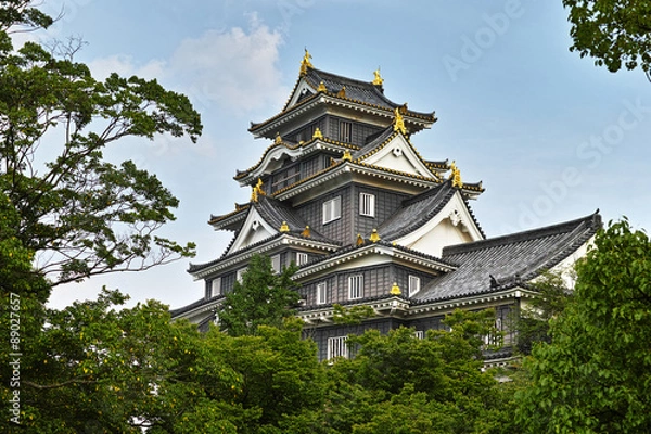 Fototapeta 岡山城　天守閣