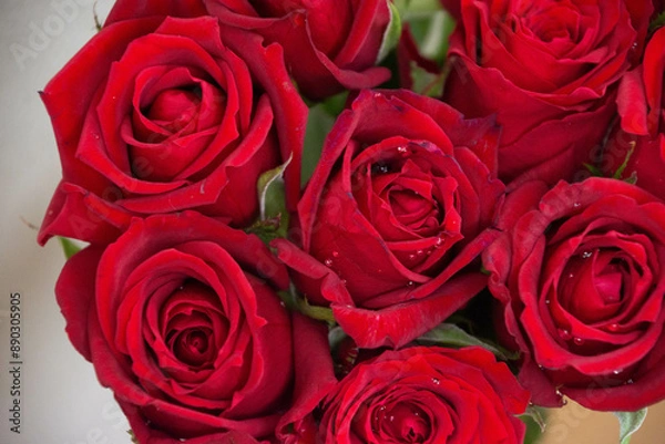 Fototapeta 赤い薔薇