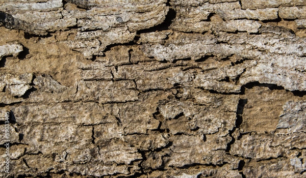 Fototapeta Wood texture