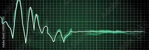 Fototapeta Electrocardiogram (ECG) Pulse Display