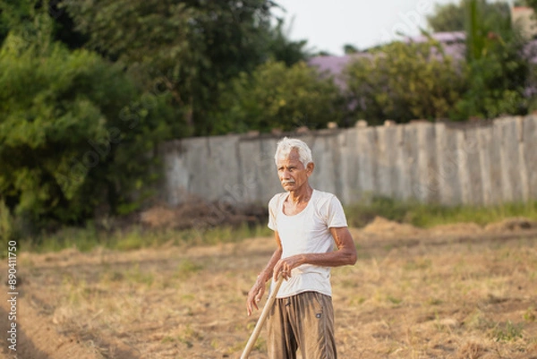 Fototapeta An inidan Elderly Farmer Standing in Field with Hoe at Dusk