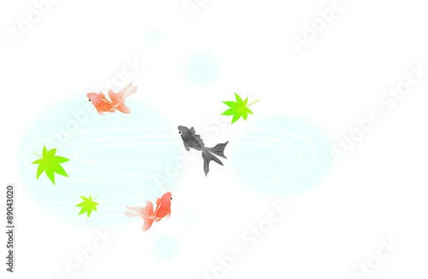 Fototapeta 金魚■キンギョ・和金・流金・波・もみじ・カエデ・夏イメージ