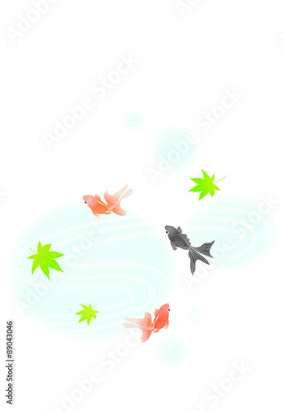 Fototapeta 金魚■キンギョ・和金・流金・波・もみじ・カエデ・夏イメージ