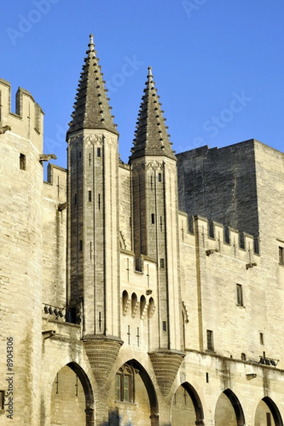 Obraz Palais des papes, Avignon