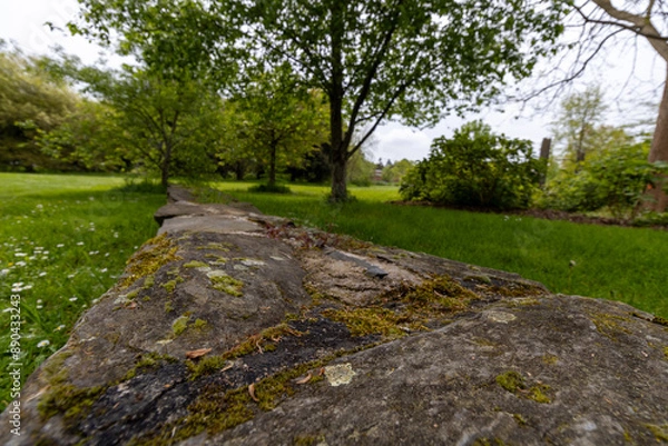 Obraz a small wall in the park