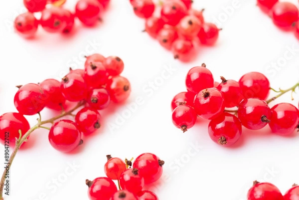 Fototapeta Fresh red currant berries background. Branches of red currant berries closeup