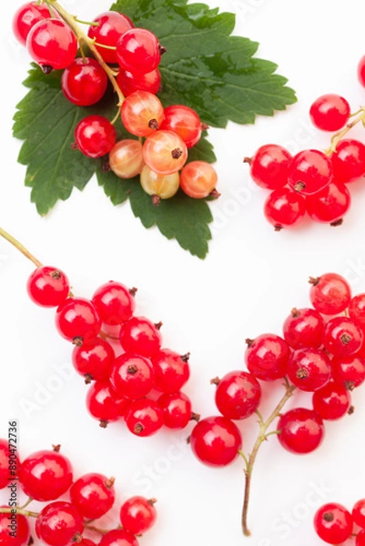 Fototapeta Branches of red currant berries with leaf on white background. Top view