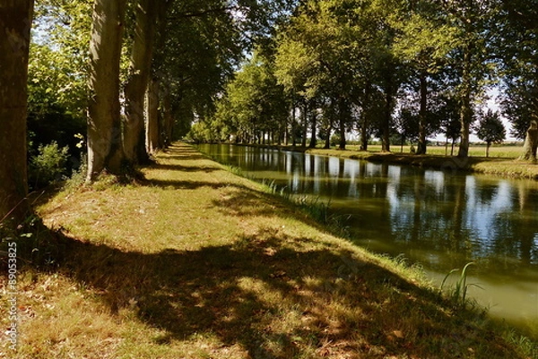 Obraz Montech - Canal, Canal du Midi, Ecluse, Platane