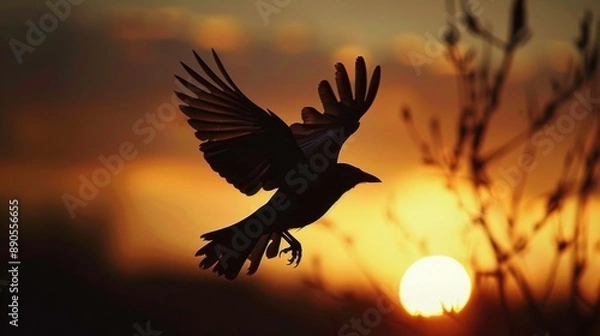 Obraz Bird Silhouette Flying Towards Sunset.