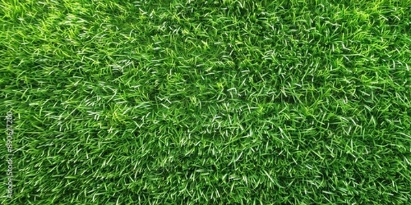 Fototapeta Green Grass Texture