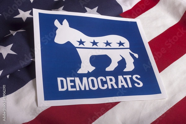 Obraz Democrat Election Vote and American Flag