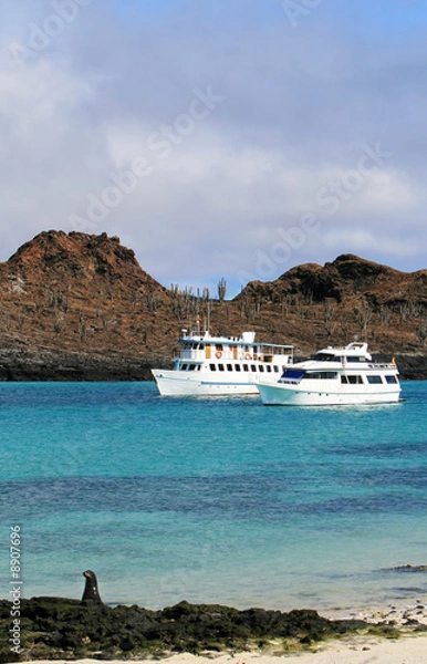 Obraz Galapagos Yachts