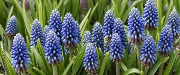 Fototapeta Enchanting Garden Vibes