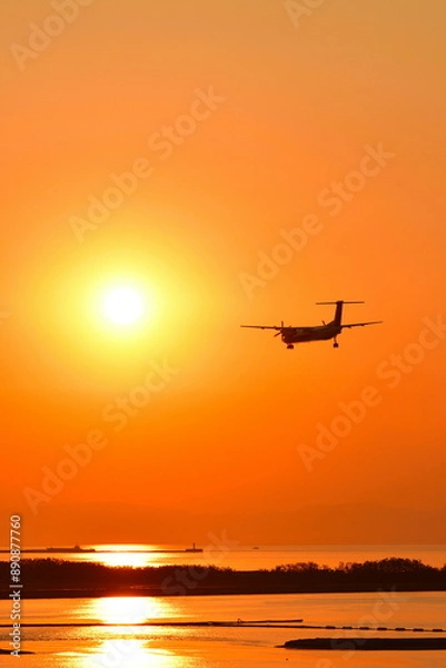 Fototapeta あかしあ公園から日本海と飛行機を望む（新潟県）