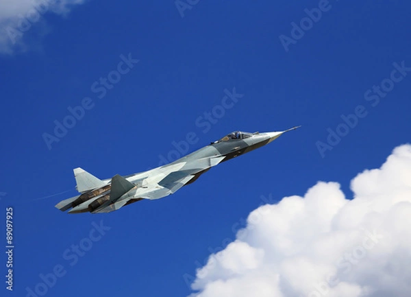 Obraz Fighter in flight