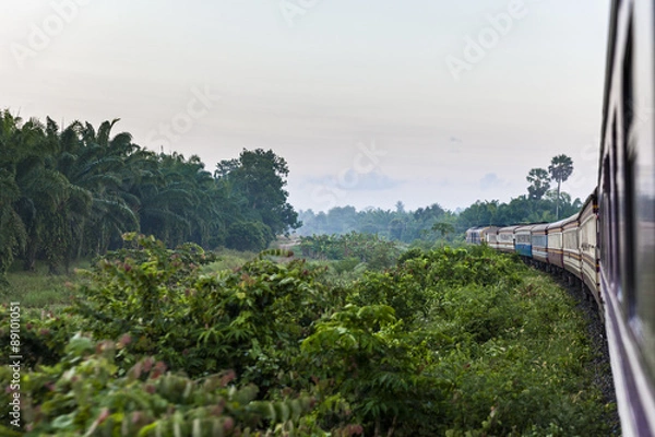 Fototapeta Tropical train