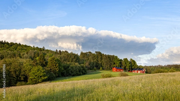 Fototapeta Red house