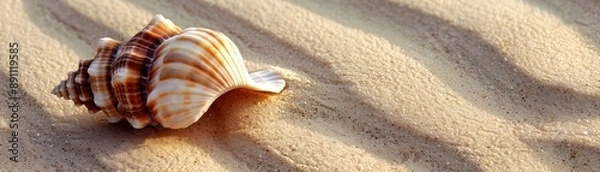 Fototapeta A seashell resting on a sandy beach, with the textured sand creating a natural backdrop. The shell's intricate patterns and colors are highlighted by the warm sunlight.
