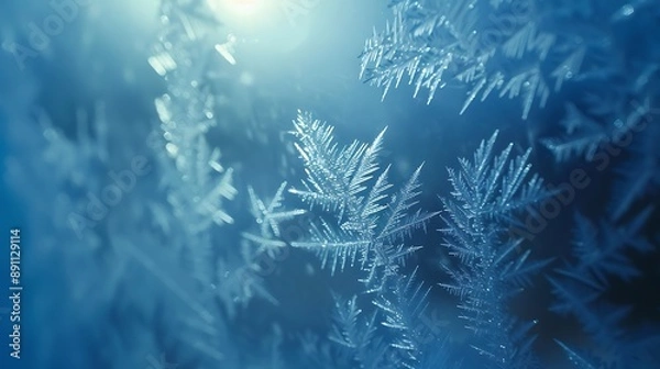 Obraz Rrost mode on pattren