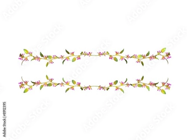 Obraz bordure fleurie