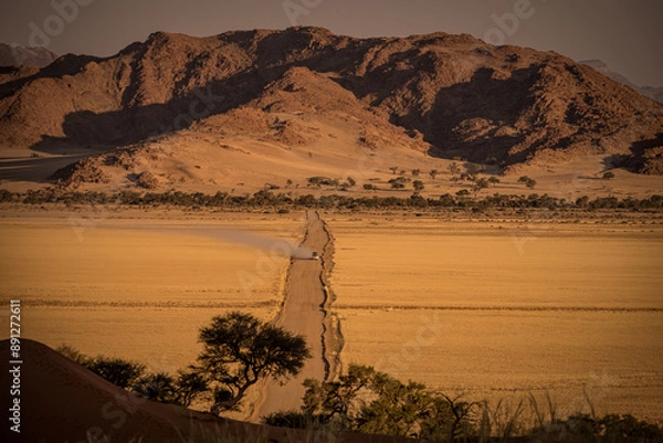 Obraz Namib desert, Namibia, dunes, oryx