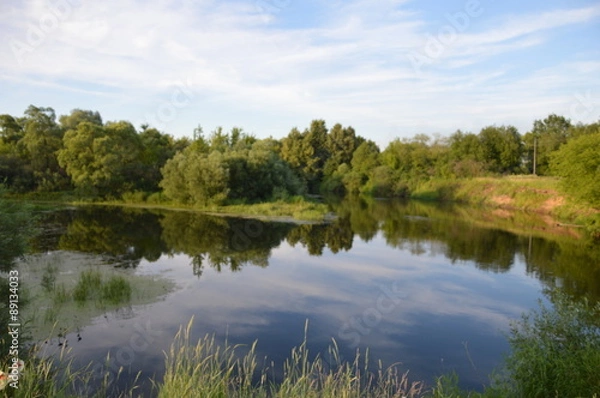 Obraz Лето на брянщине