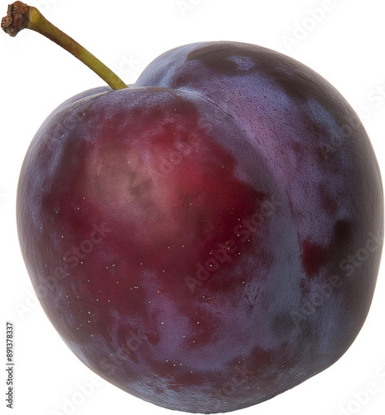Fototapeta A ripe, purple plum with a smooth skin and a short stem.
