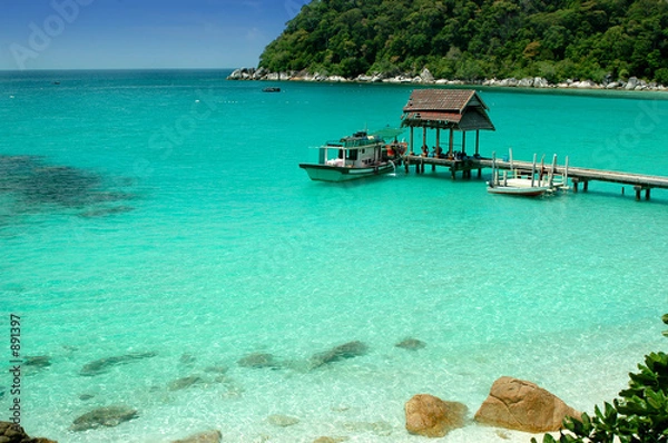 Obraz paradise - beach scenery