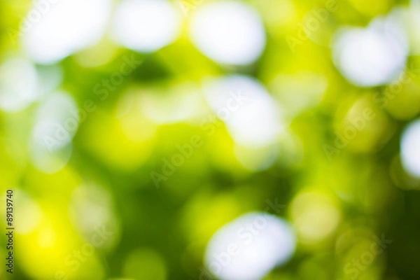 Obraz Natural green blurred and bokeh background,Abstract backgrounds.