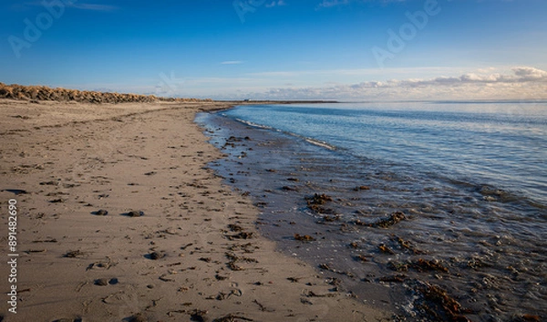 Obraz Ein Strand in Island