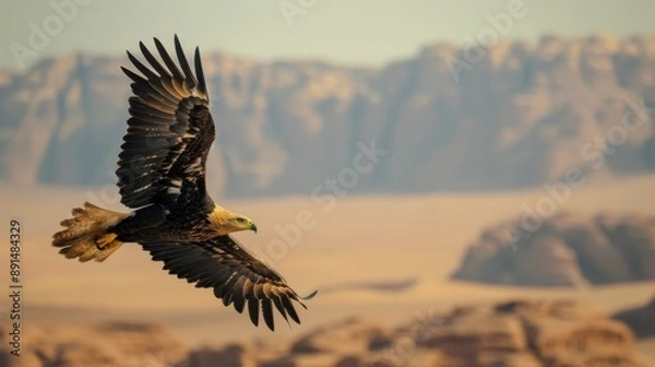 Obraz Eagle Soaring Over Desert Landscape.