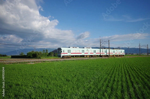 Obraz 西鉄甘木線の夏