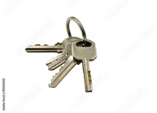 Fototapeta bunch of old keys in png format