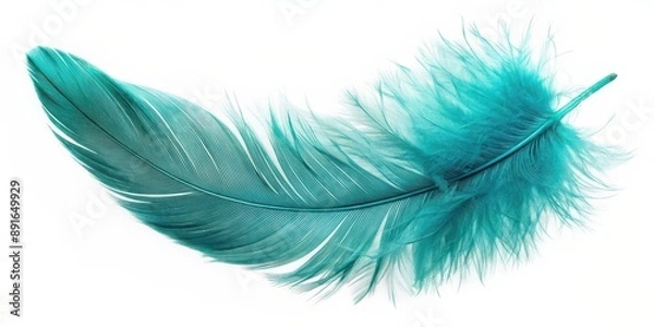 Fototapeta Turquoise feather of an angel on an isolated background, turquoise, feather, angel, isolated, background, spiritual, ethereal