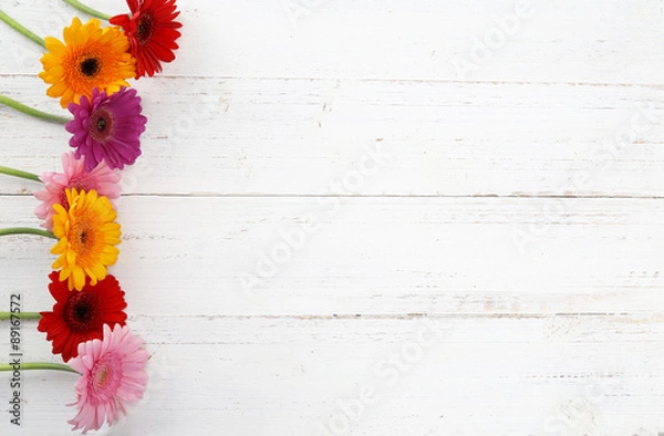 Obraz Gerbera Hintergrund