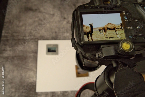 Obraz Photography from analog to digital
