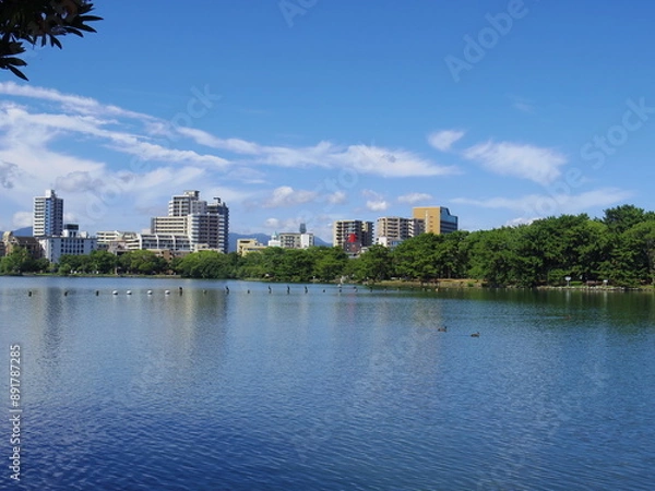 Fototapeta 大濠公園(福岡県福岡市)