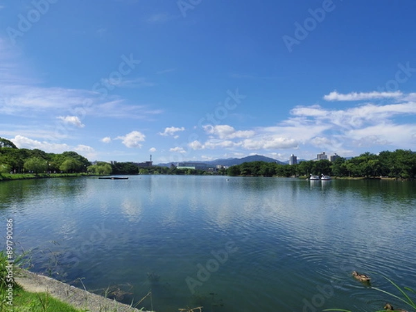 Fototapeta 大濠公園(福岡県福岡市)