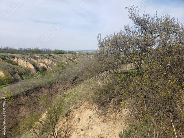 Fototapeta ravines in green grass against the blue sky