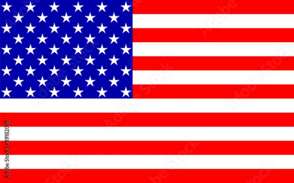Obraz American Flag