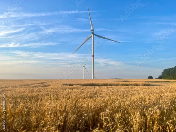 Fototapeta Wind turbines against the backdrop of sunset over a wheat field