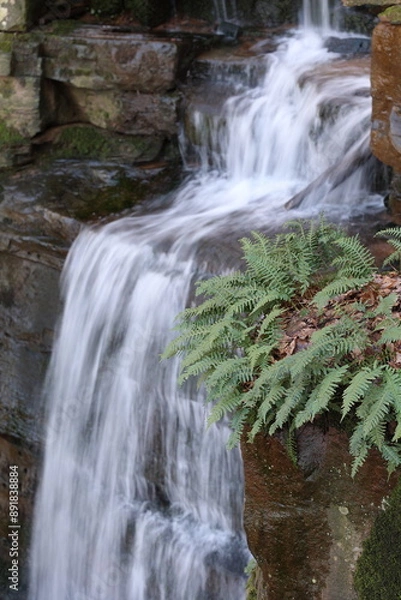 Obraz Waterfall in an green forest with ferns