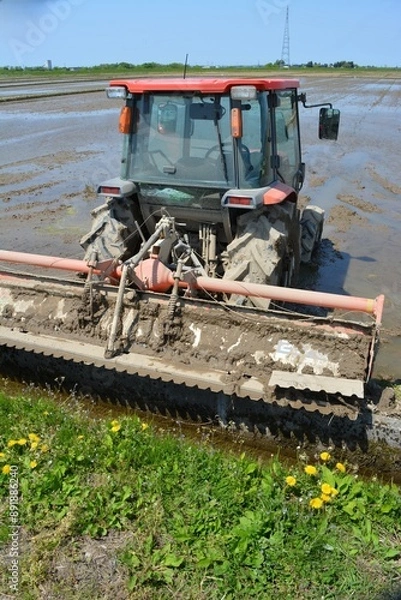 Fototapeta 農業機械 トラクター