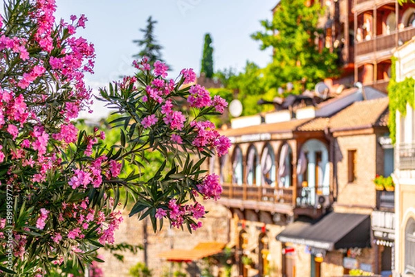 Fototapeta Street view and traditional architecture in Tbilisi, Georgia