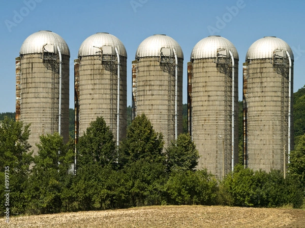 Fototapeta Silos