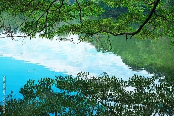 Fototapeta 水面の波紋と青い空