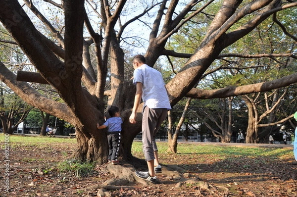 Fototapeta 木登り　父と子