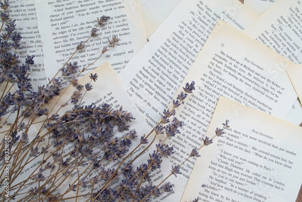 Obraz Lavender flowers, lavender on a background of book sheets background, with lavender flowers