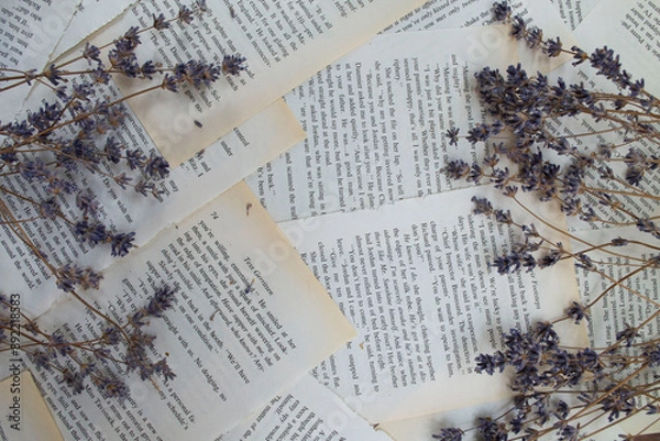 Fototapeta Lavender flowers, lavender on a background of book sheets background, with lavender flowers